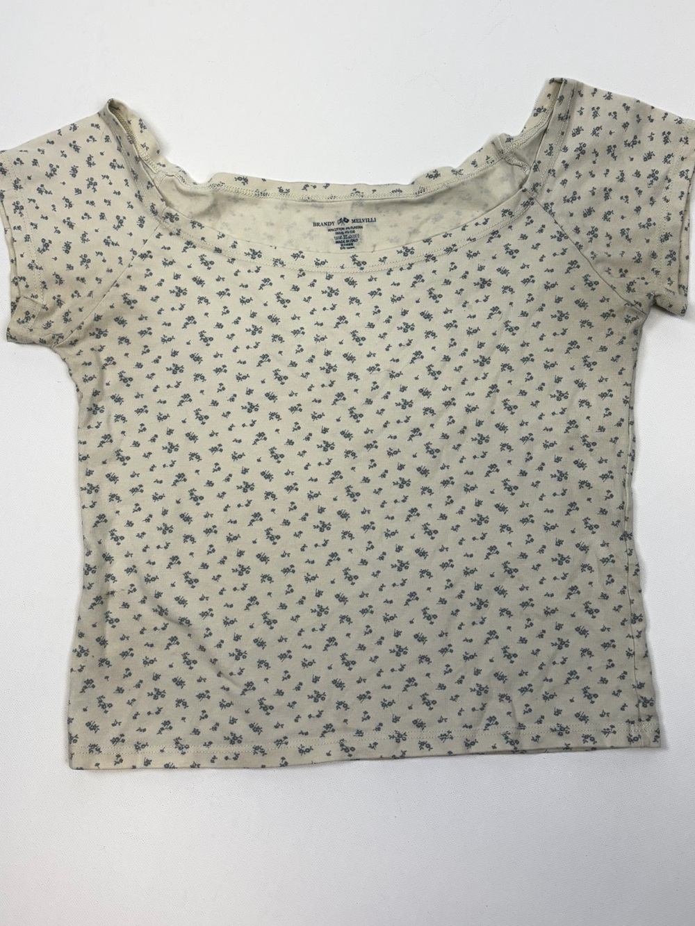 Brandy Melville Cream Blue Floral Baby Tee Made In Italy Size Small